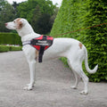 Personalisiertes reflektierendes Hundegeschirr – Atmungsaktives No-Pull Geschirr mit verstellbarer Passform und individuellem Namenspatch für kleine und große Hunde
