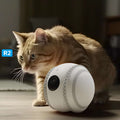 Haustier-Begleitroboter mit Katzenüberwachung – Intelligenter Roboter zur Überwachung und Interaktion mit Ihrem Haustier